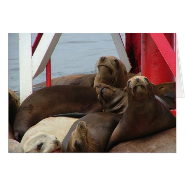 Cartão 2005 agosto 089 (Frente Horizontal)