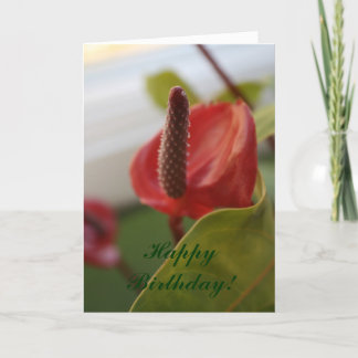 Cartão 20080427_4, Happy Birthday!