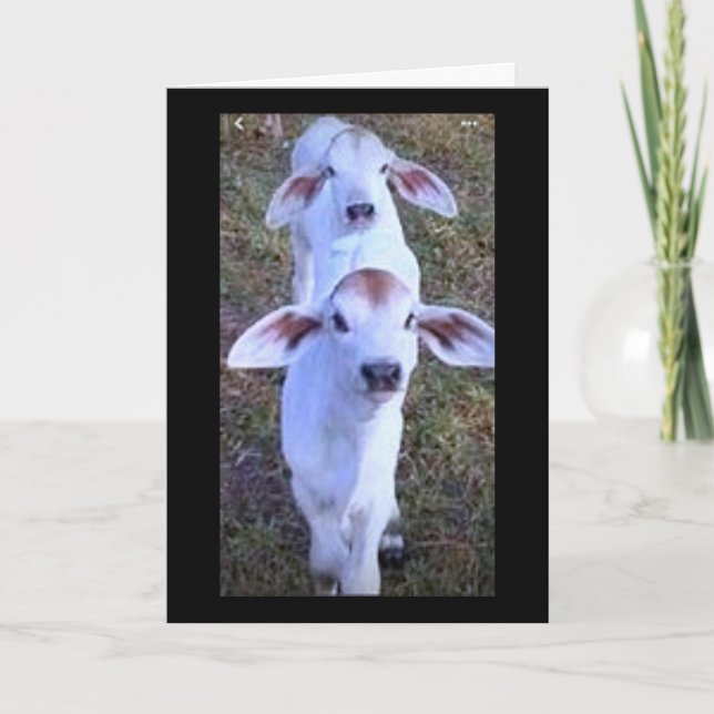 CARTÃO "21 É ALGO DE QUE SE DEVE ABRAÇAR" (Frente)