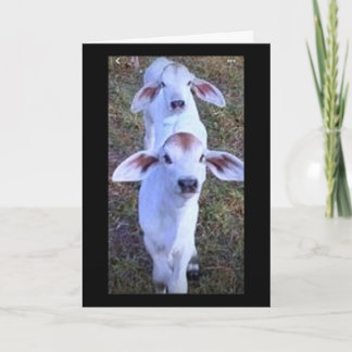 CARTÃO "21 É ALGO DE QUE SE DEVE ABRAÇAR"