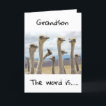 CARTÃO **21** VOCÊ É AGORA UM ADULTO LEGAL **GRANDSON** C<br><div class="desc">FELIZ ANIVERSÁRIO ***GRANDSON*** OBRIGADOS PARA PARAR POR UMA DAS MINHAS OITO LOJAS!</div>