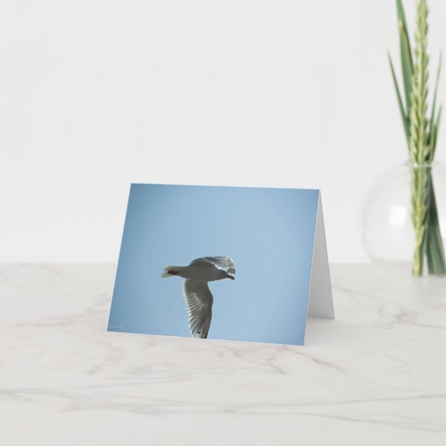 CARTÃO 2367 (Frente)