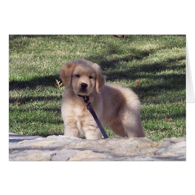 CARTÃO 2426 (Frente Horizontal)