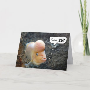 Cartão 25 de Peixe de Flor - HumorCard de Aniversário