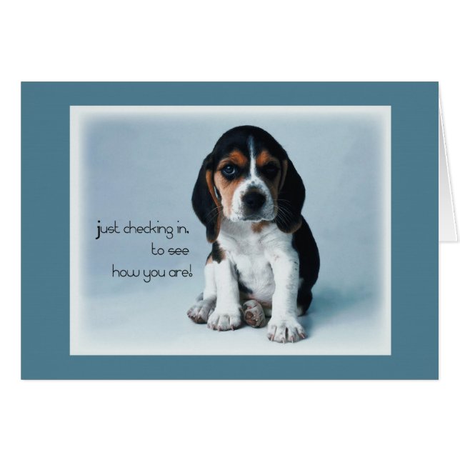 Cartão 2769 Entrada de papoilas (Frente Horizontal)