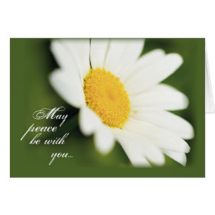 Cartão 2771 Declaração de Paz