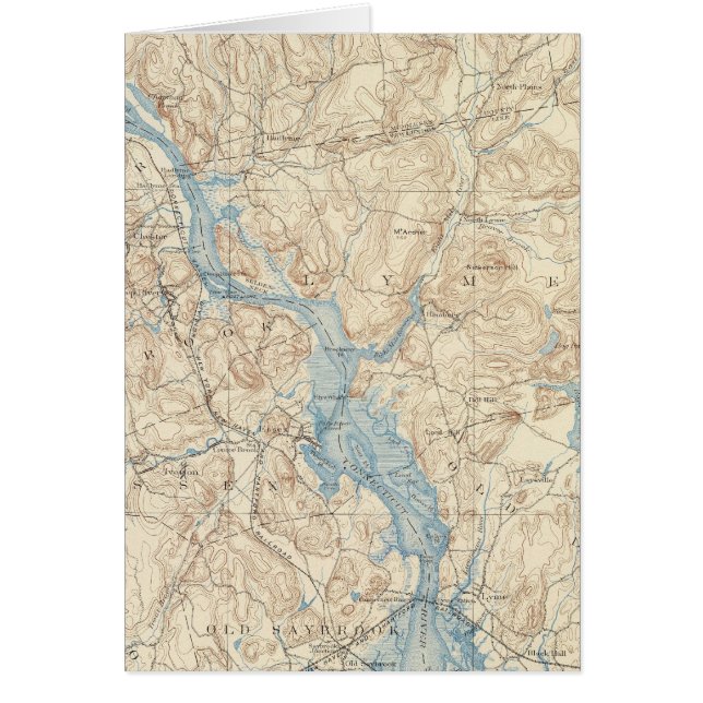 Cartão 28 Folha de Saybrook (Frente)