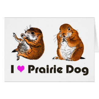 Cartão 2 cães do preirie