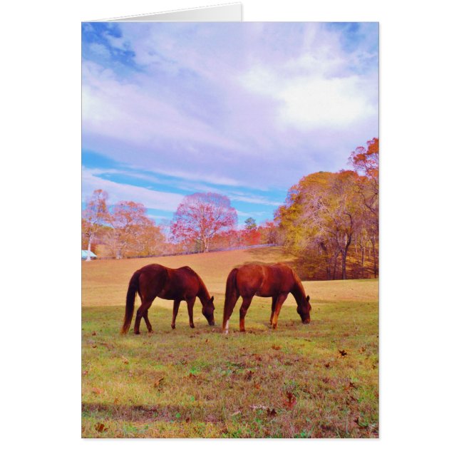 Cartão 2 Cavalos castanhos num campo de cor (Frente)