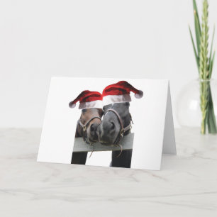 Cartão 2 cavalos vestindo Chapéus do Pai Natal