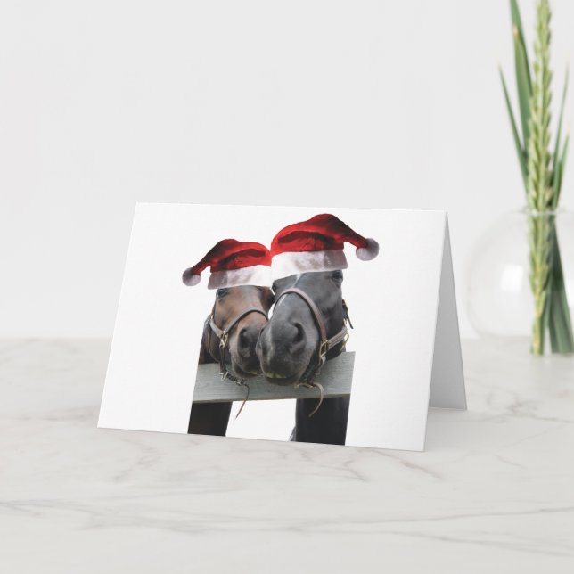 Cartão 2 cavalos vestindo Chapéus do Pai Natal (Frente)