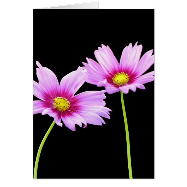 Cartão 2 Cosmos (Frente)