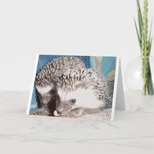 Cartão 2 cute hedgehogs