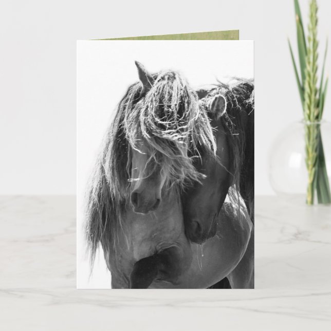 Cartão 2 Sable Island Stallions Wilse Horse Greeting Card (Frente)