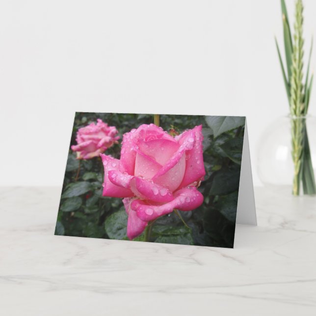 Cartão 2-Tone Pink Rose (Frente)