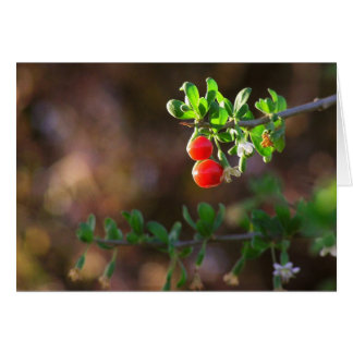 CARTÃO 2BERRIES