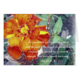 Cartão 31:16 do ~ da coleção dos provérbio 31 pro - 17