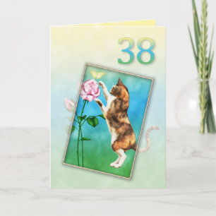 Cartão 38º Aniversário com um gato brincalhão