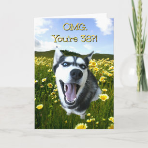Cartão 38. º Aniversário Cachorro Gafanhoto em Flores A
