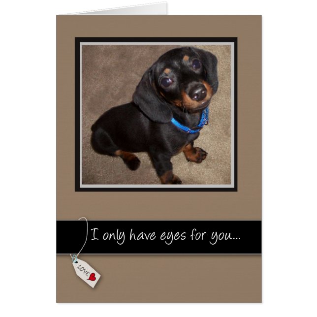 Cartão 3938 Ama Você Cachorro (Frente)