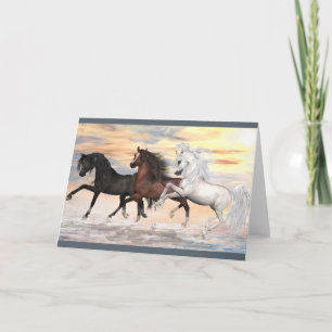 Cartão 3 Arabians Greeting Card, white envelopes included