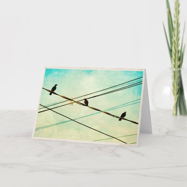 Cartão 3 Cawing Crows on a Wire Blank Greeting Card (Frente)