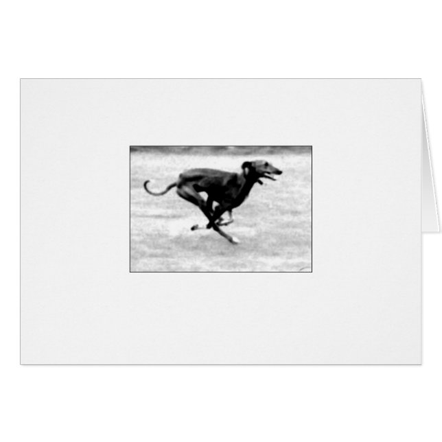 Cartão 3 de Azawakh por David Moore (Frente Horizontal)