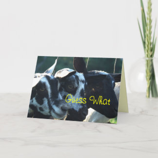 Cartão 3 Goat Kids- customize any occasion