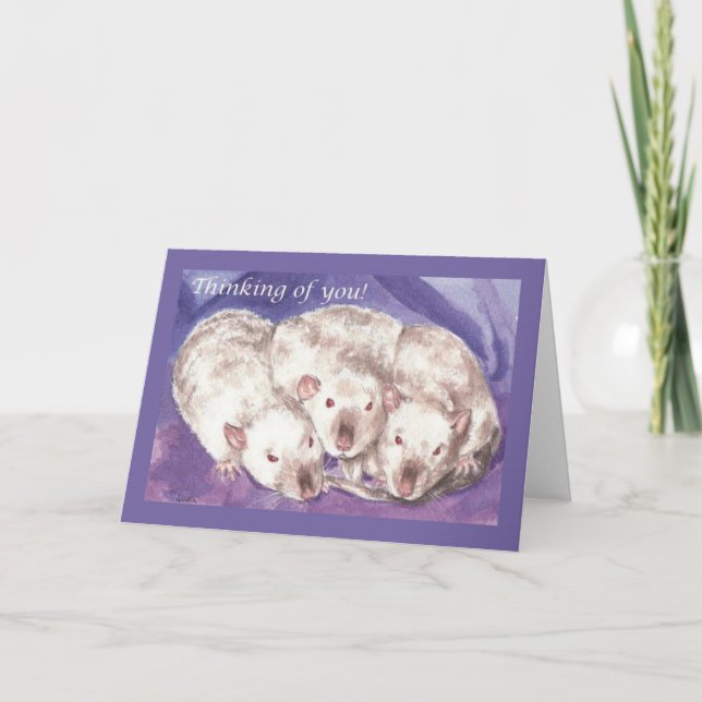 Cartão 3 Himis pensando em você (Frente)