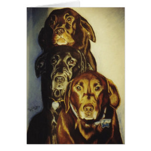 Cartão "3 Labradors "