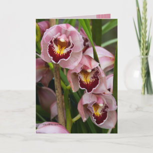 Cartão 3 Pink Ladies Blooming