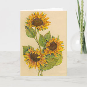 Cartão 3 Sunflowers Greeting Card (Blank Inside)