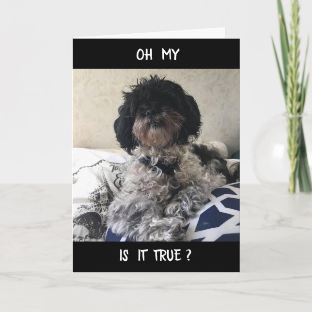 CARTÃO **40** PARECE EXCELENTE PARA VOCÊ! FELIZ ANIVERSÁR (Frente)