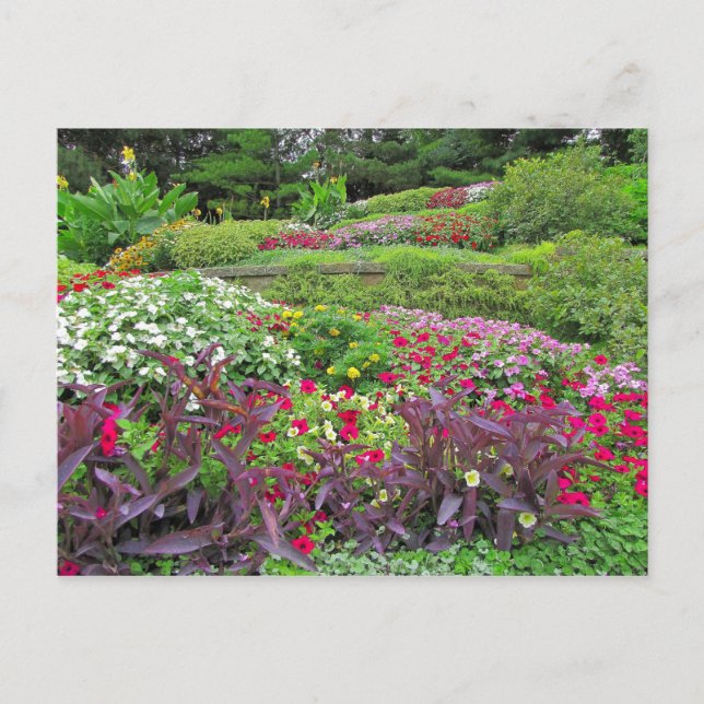 Cartão #40N 040 da paisagem do SG (Frente)