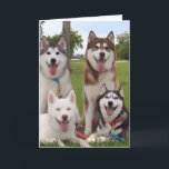 CARTÃO **40TH** BIRTHDAY HUMOR FROM SIBERIAN HUSKEY GROUP<br><div class="desc">GREAT AS A GROUP TO SEND FOR A ***40th** BIRTHDAY (WHICH YOU CAN CHANGE THE AGE) OR SEND YOURSELF. THIS CARD WILL BE SURE TO BE "LOVED" BY DOG LOVERS ANYWHERE :)</div>