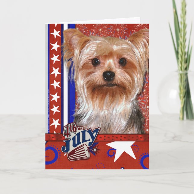 Cartão 4 de julho Firecracker - Yorkshire Terrier (Frente)