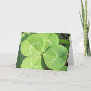 Cartão 4 Leaf Clover Good Luck Charm