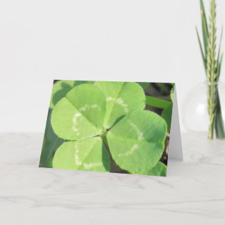 Cartão 4 Leaf Clover Good Luck Charm