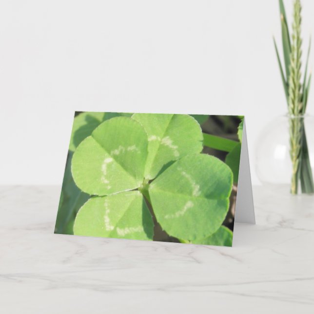 Cartão 4 Leaf Clover Good Luck Charm (Frente)