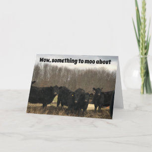 CARTÃO **50º** ANIVERSÁRIO É ALGO PARA "MOO SOBRE"