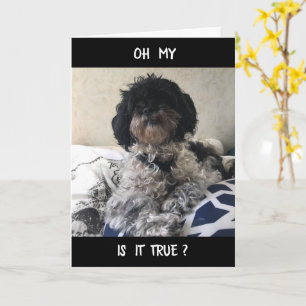 CARTÃO **50** PARECE EXCELENTE PARA VOCÊ! FELIZ ANIVERSÁR