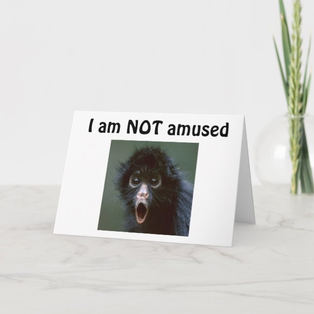 CARTÃO **50?** VOCÊ NÃO PARECE UM DIA ACIMA DE 49?? ANIVE (Frente)