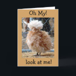 Cartão **50th BIRTHDAY HAS ME FLUSTERED" HAPPY BIRTHDAY<br><div class="desc">THIS OVER THE HILL CARD IS CUTE IN SO MANY WAYS. THIS CHICKEN IS TELLING YOUR FRIEND OR FAMILY MEMBER NOT TO BE SAD IF THEY ARE "OVER THE HILL" FOR HE OR SHE IS IN A CAGE AND HAVING A BAD HAIR DAY :) THANKS FOR STOPPING BY ONE OF...</div>