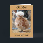 Cartão **50th BIRTHDAY HAS ME FLUSTERED" HAPPY BIRTHDAY<br><div class="desc">THIS OVER THE HILL CARD IS CUTE IN SO MANY WAYS. THIS CHICKEN IS TELLING YOUR FRIEND OR FAMILY MEMBER NOT TO BE SAD IF THEY ARE "OVER THE HILL" FOR HE OR SHE IS IN A CAGE AND HAVING A BAD HAIR DAY :) THANKS FOR STOPPING BY ONE OF...</div>
