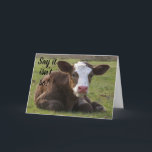 Cartão ***50th*** BIRTHDAY IS SOMETHING TO MOO ABOUT<br><div class="desc">I LOVE THIS LITTLE GUY AND HOPE YOU DO AS WELL. AND... .DON'T FORGET YOU CAN "CHANGE THE AGE" OR THE "VERSE" IN A MATTER OF SECONDS AND THANK YOU SO MUCH FOR STOPPING BY ONE OF MY NINE STORES HERE AT ZAZZLE!!!!</div>