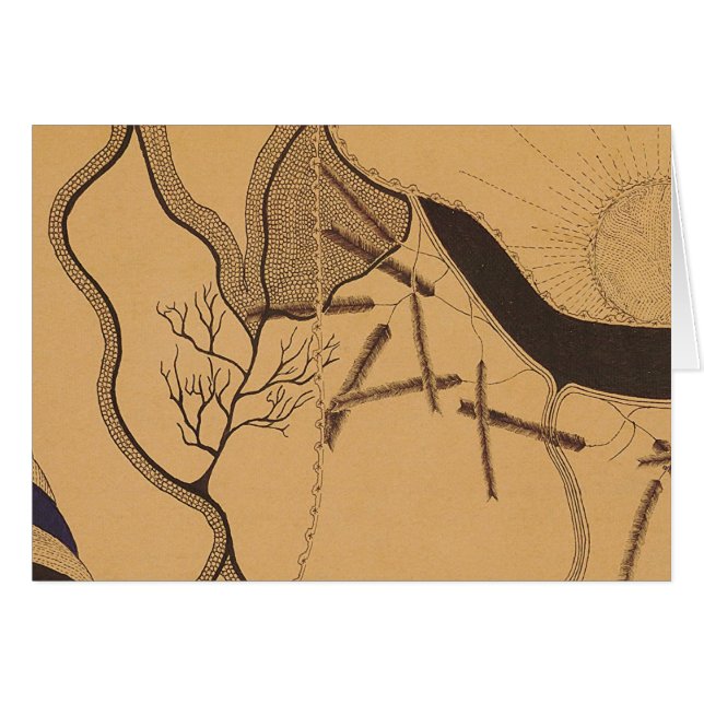 Cartão 5 de John Haughton (Frente Horizontal)