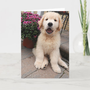 Cartão 5 para Vazio de Aventuras de Archie