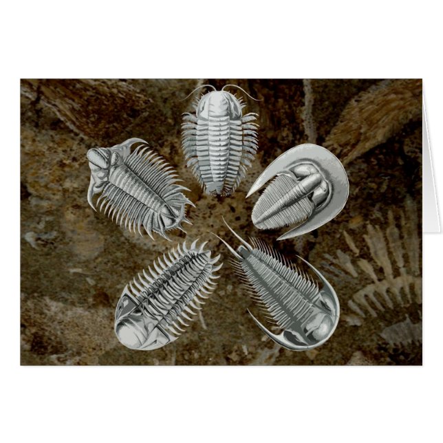 Cartão 5 Trilobites (Frente horizontal)