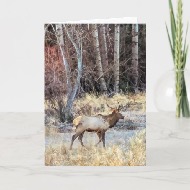 Cartão 5"x7" Folded Card || Bull Elk (Frente)