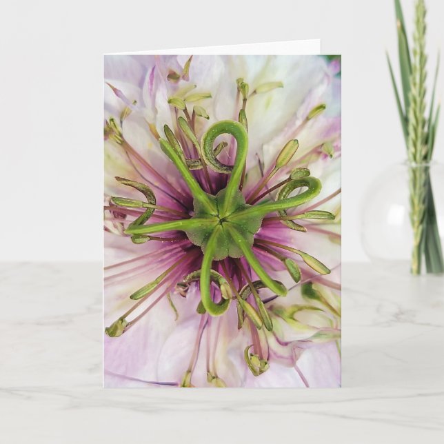 Cartão 5"x7" Folded Card || Love-In-A-Mist (Frente)